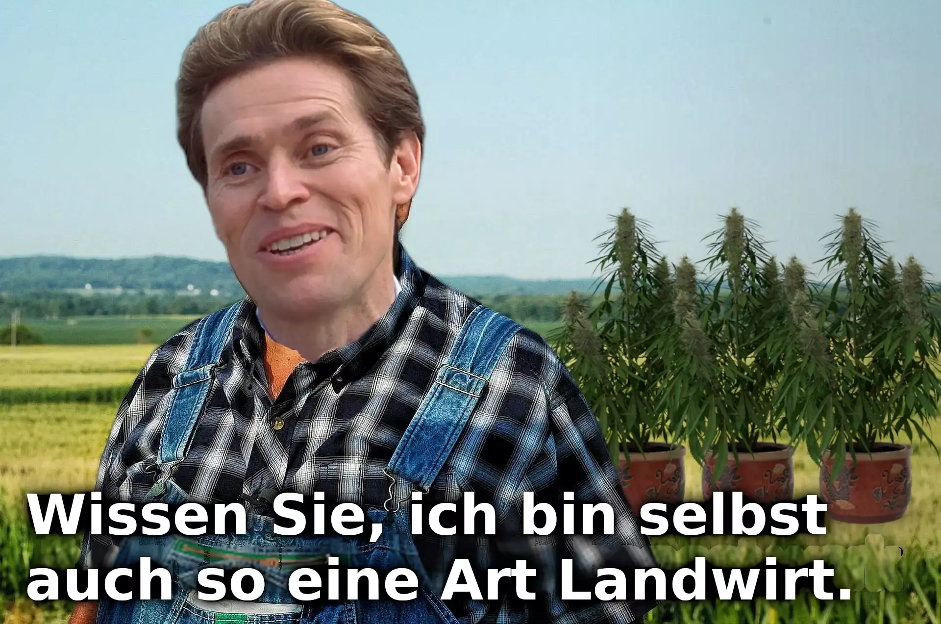 "Wissen Sie, ich bin selbst auch so eine Art Landwirt." - Im Hintergrund drei Cannabispflanzen in Töpfen.