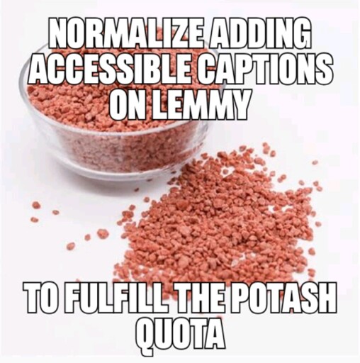 Picture of potash that says "Normalize adding accessible captions on Lemmy to fufill the potash quota"